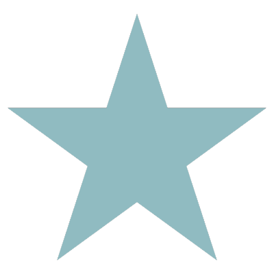 4.9/5 Stars